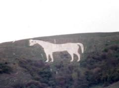 The Horse from a Distance