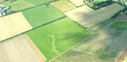 Whittlesford Horse in 2004