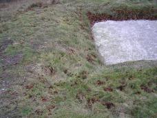 Matting at the edge of the Cross