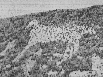 The Woolbury Horse in the 1930's