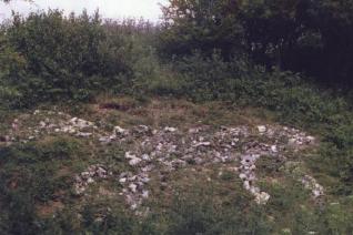Outline of Horse