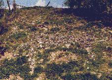 The Woolbury Horse in 1999