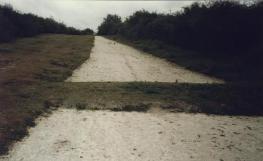 Close Up of the Mark