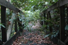 Across the bridge