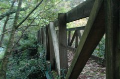 the bridge