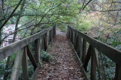 the bridge