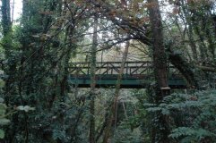 Under the bridge