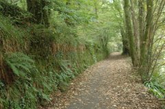 Now a path