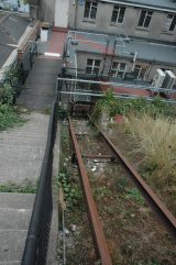 Down the Line