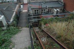 Down the Line