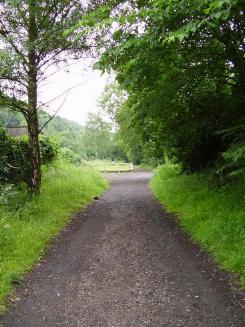 Sheep Pasture Incline