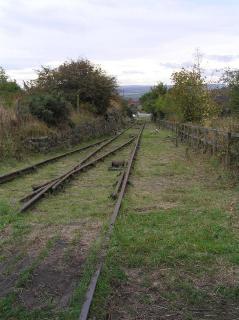 The whole Incline
