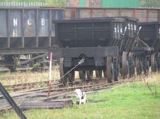 Rope Haulage