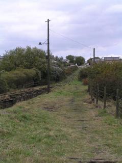 The whole Incline