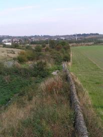 The whole Incline