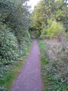 The whole Incline