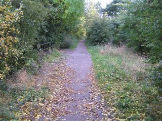 The whole Incline