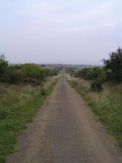 The whole Incline