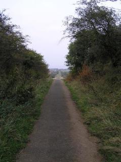 The whole Incline