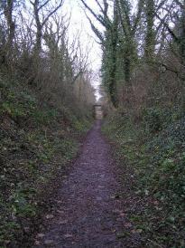 The whole incline