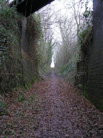 The whole incline