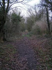 The whole incline