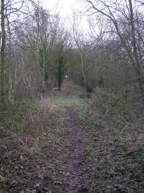 The whole incline