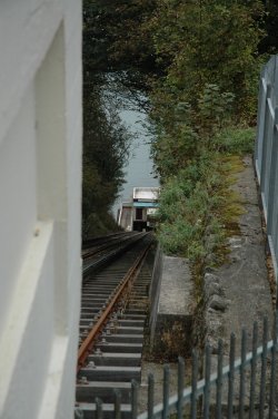 Whole line