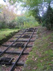 Track