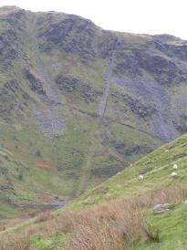 Jacobs Ladder