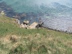 Rathlin