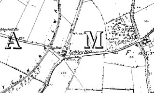 Lobley Hill