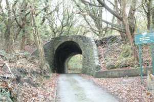 Bridge Carrying Incline