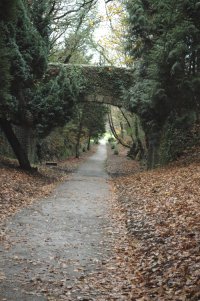 Bridge Over the Incline