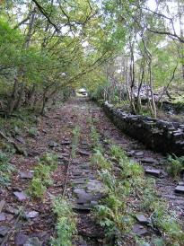 Tracks