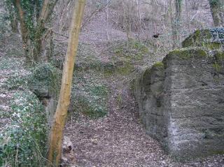 The Lower Incline
