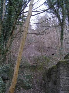 The Lower Incline