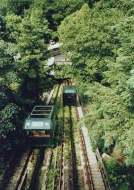 Carriages Crossing