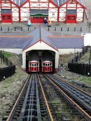 Down the Line